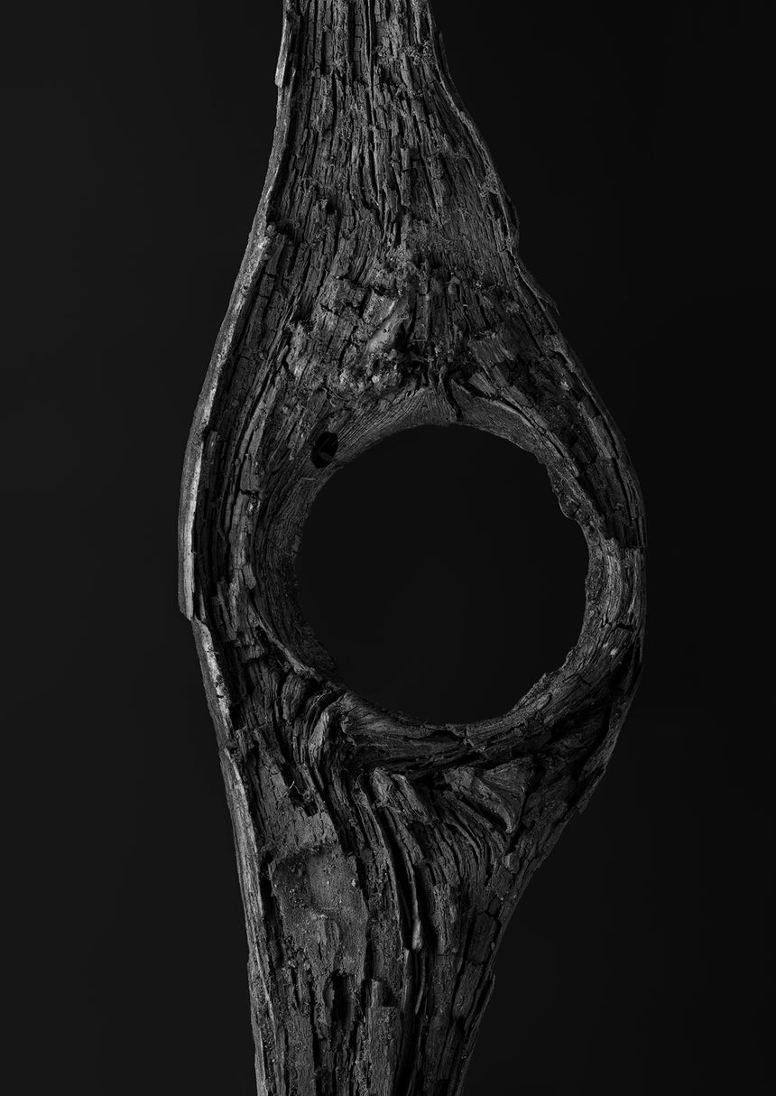 2002-04-113160 /Limited Edition of 3