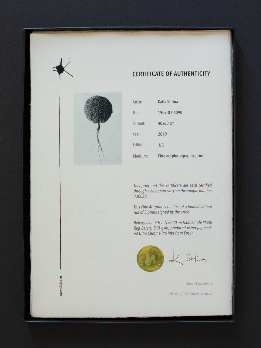 1908-01-67100 /Limited Edition of 3