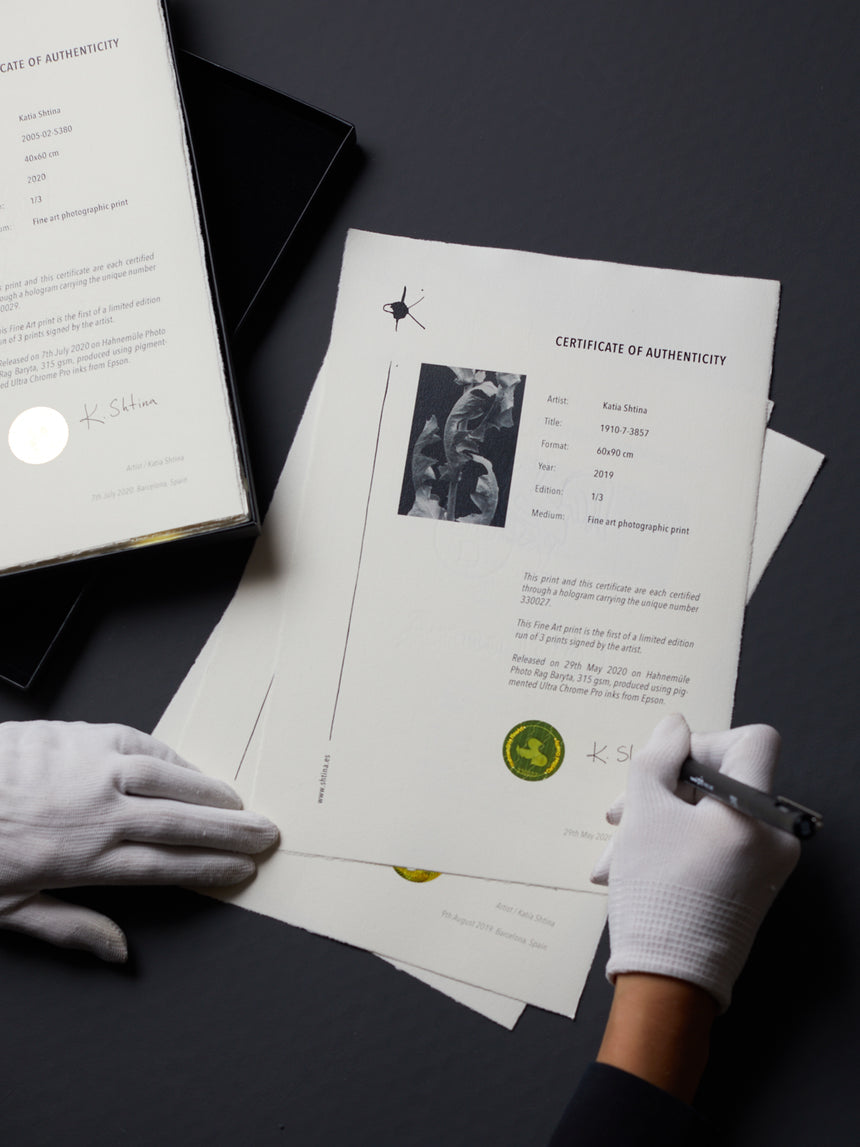 1910-07-3857 /Limited Edition of 3