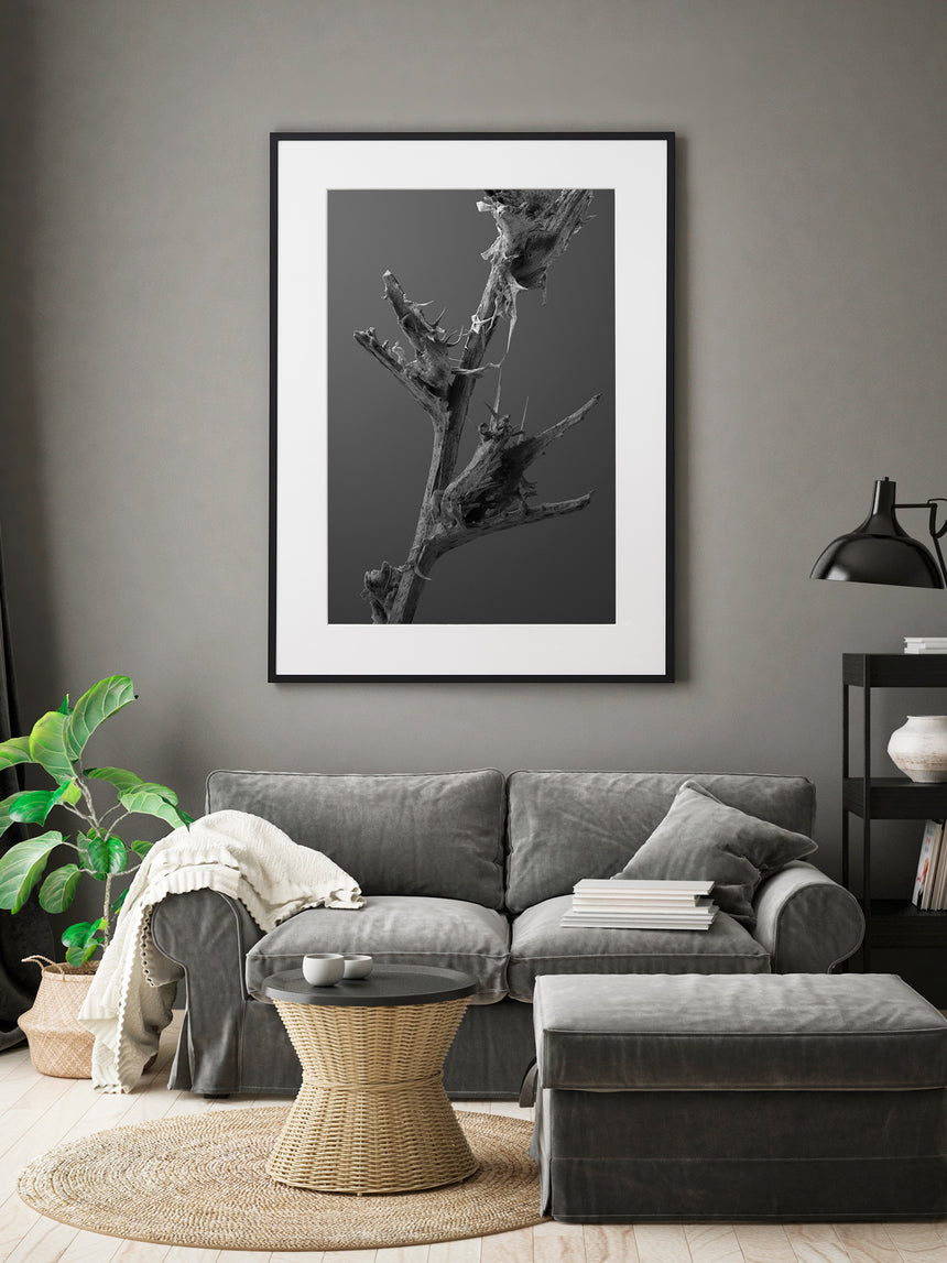 1908-09-5684 /Limited Edition of 3