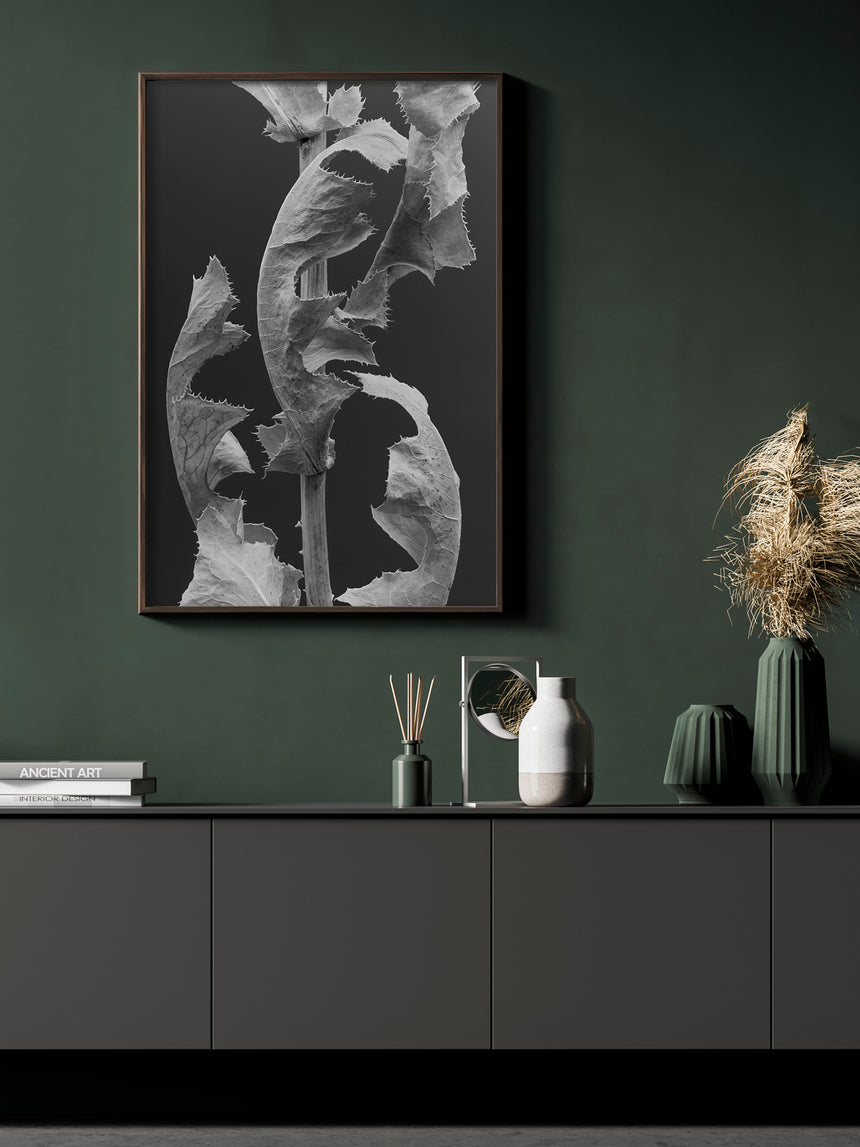 1910-07-3857 /Limited Edition of 3